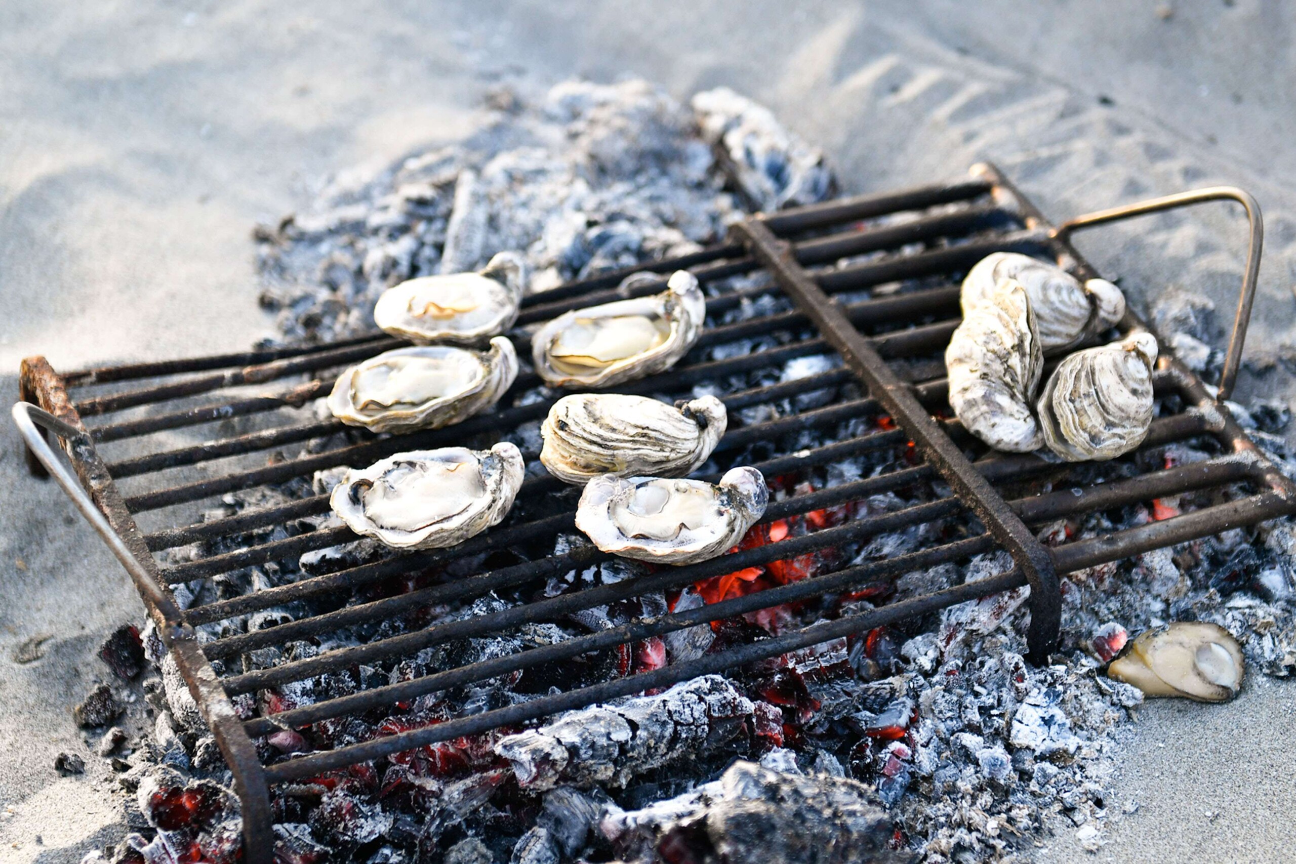 Degustazione Ostriche all'Isola dell'amore