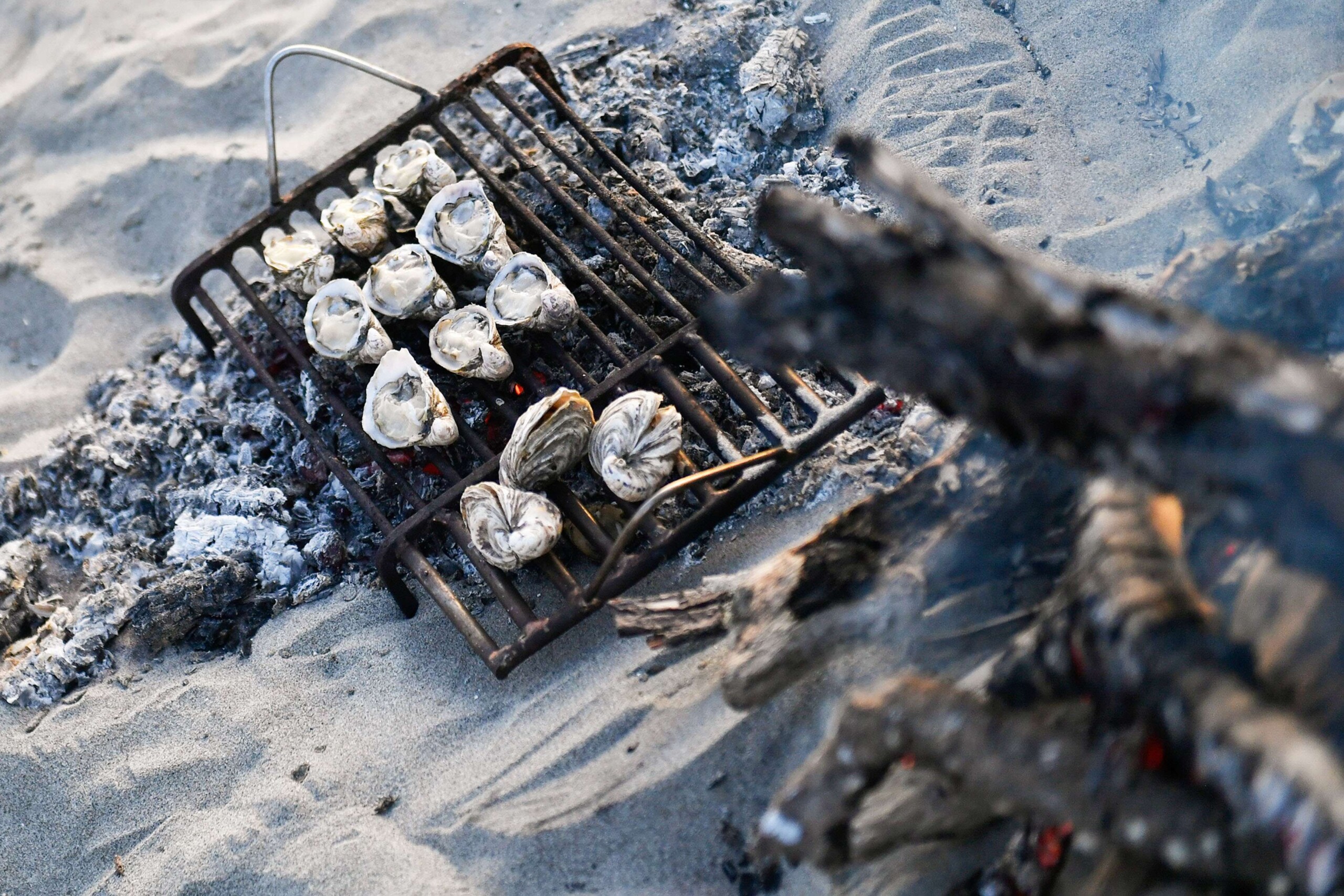 Degustazione Ostriche all'Isola dell'amore